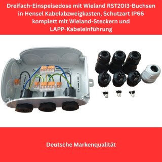Wieland 3-fach Einspeisesteckdose Aufputz IP66 für Balkonkraftwerk 3er